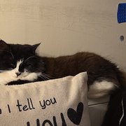 Great Wishford, South West England, UK