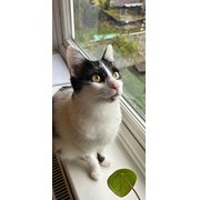 Maidenhead, South East England, UK