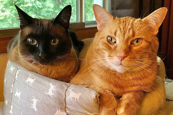 Victoria, British Columbia, Canada