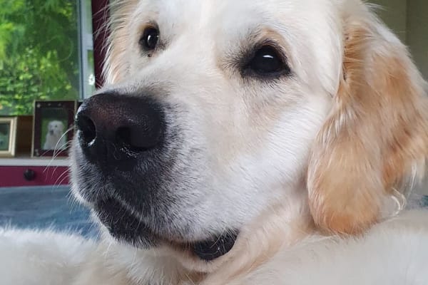 Christchurch, Canterbury, New Zealand