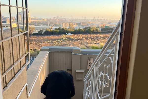 Cape Town, Western Cape, South Africa