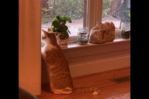 Watkinsville, Georgia, United States