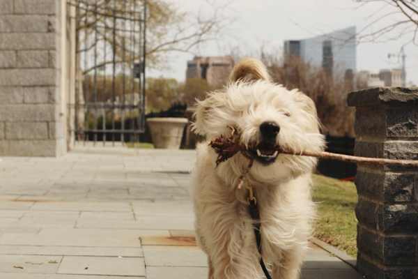 Richmond, Virginia, United States