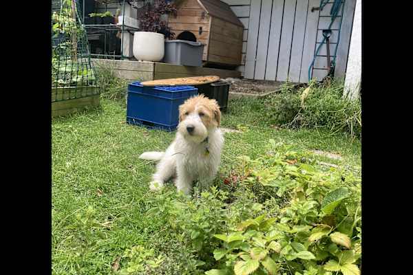 Wellington, Wellington, New Zealand