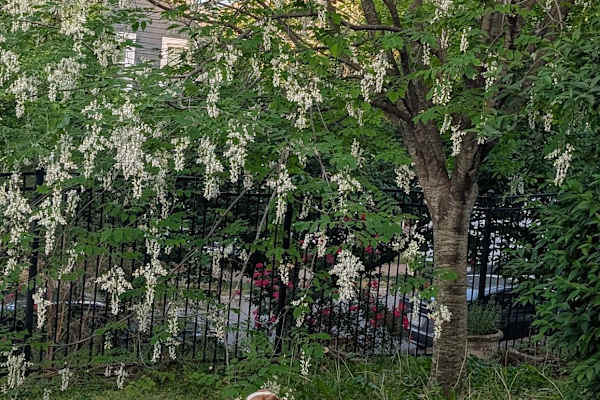 Fredericksburg, Virginia, United States