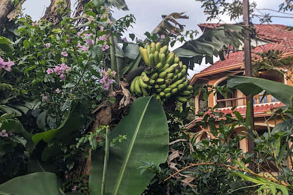 Birrí, Heredia, Costa Rica