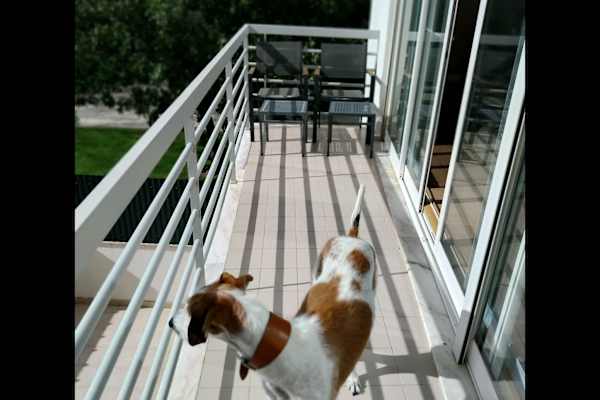 Loulé, Faro, Portugal