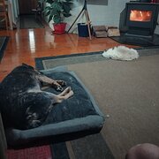 Dundathu, Queensland, Australia