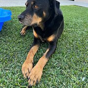 Dawesville, Western Australia, Australia