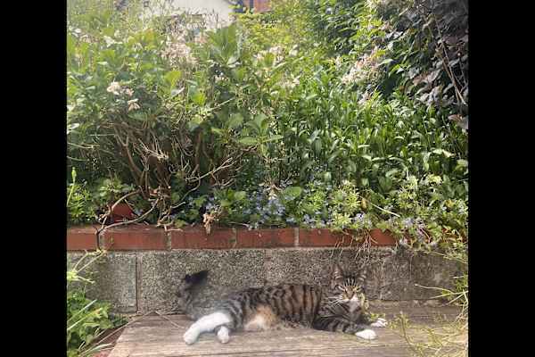 Knighton, Wales, United Kingdom