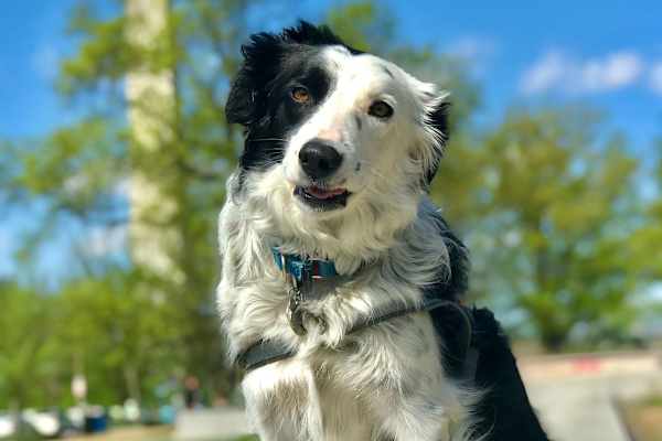 Alexandria, Virginia, United States