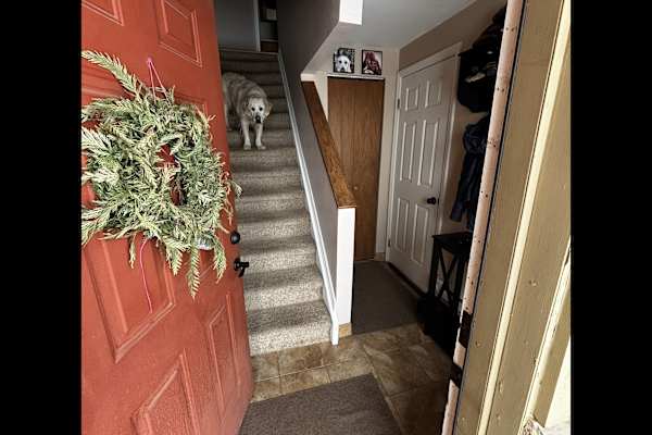 Fraser, Colorado, United States