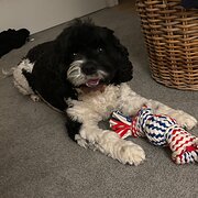 Netherby, South Australia, Australia