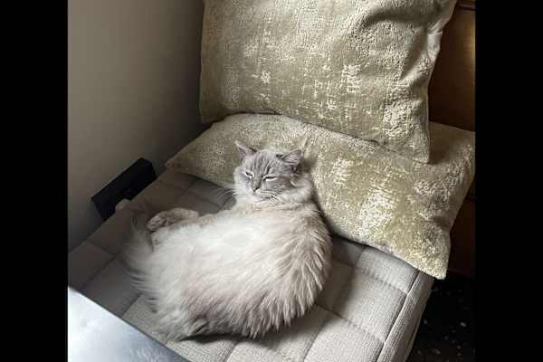 Bermondsey, England, United Kingdom