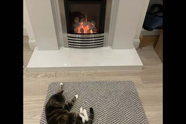 Morden, England, United Kingdom