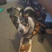 Angle Vale, South Australia, Australia