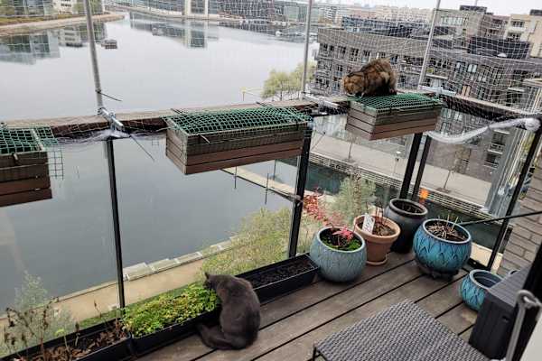 Copenhagen,Capital Region,Denmark