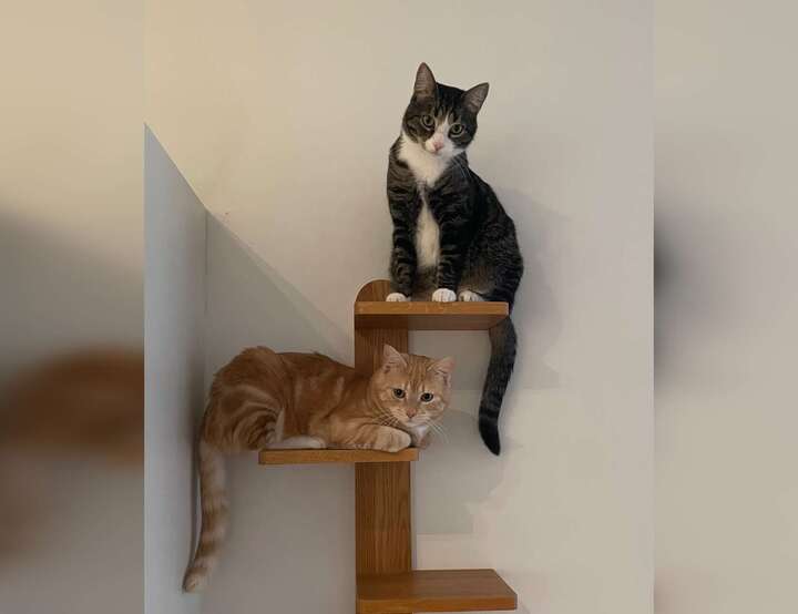 Malmö, Skåne län, Sweden