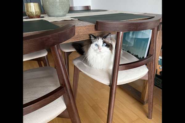 Munich, Bavaria, Germany