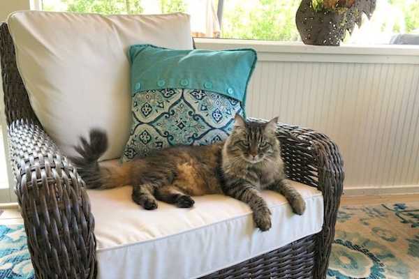 Pensacola, Florida, United States