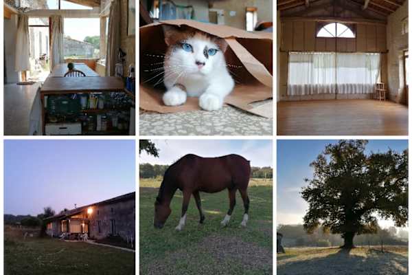 Montendre, Nouvelle-Aquitaine, France