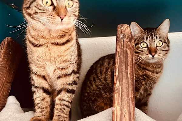 Köln, North Rhine-Westphalia, Germany