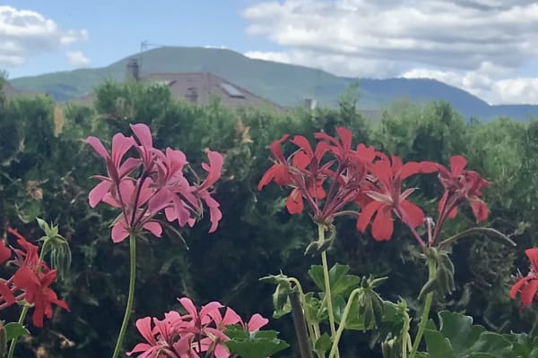 Sélestat, Grand-Est, France