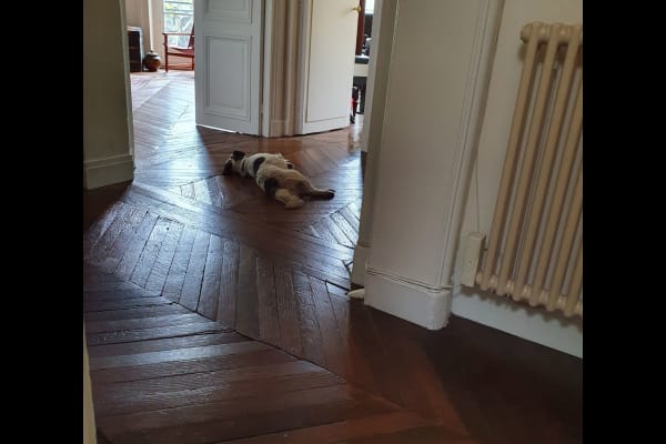 Paris, Ile-de-France, France