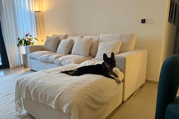 Dubai, Dubai, United Arab Emirates