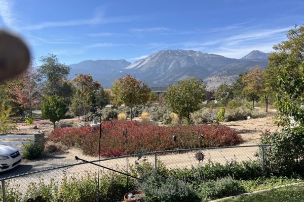 Reno, Nevada, United States