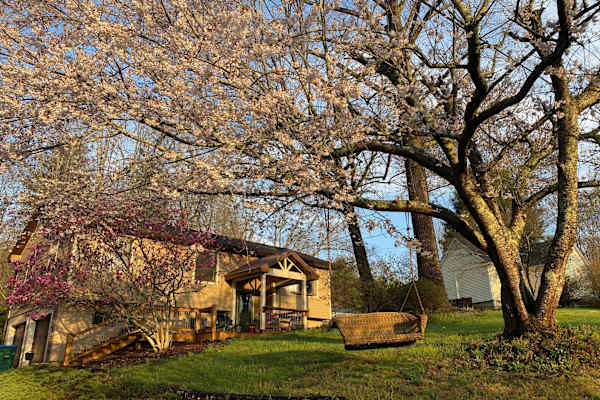 Asheville, North Carolina, United States
