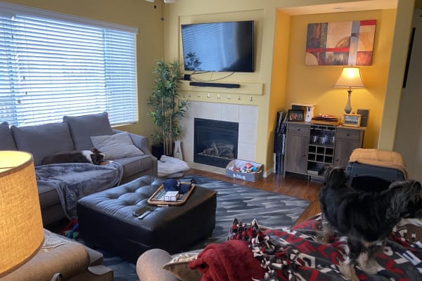 Colorado Springs, Colorado, United States