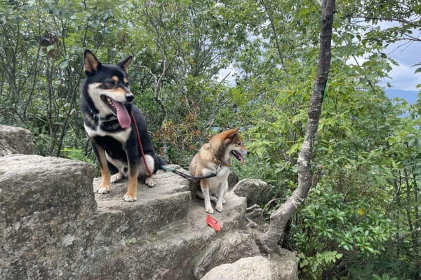 Asheville, North Carolina, United States