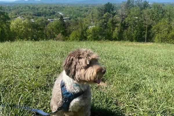 Asheville, North Carolina, United States