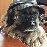 Balcatta, Western Australia, Australia