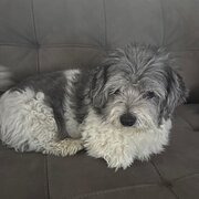 Padbury, Western Australia, Australia