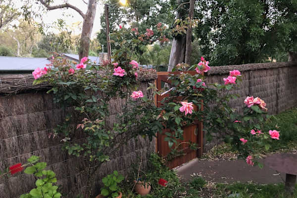 Hawthorndene, South Australia, Australia