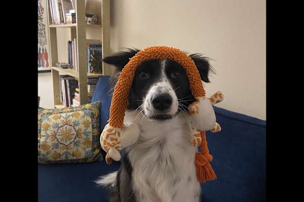 Itzig, Luxembourg, Luxembourg