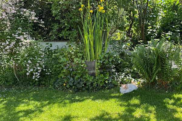 Munich, Bavaria, Germany