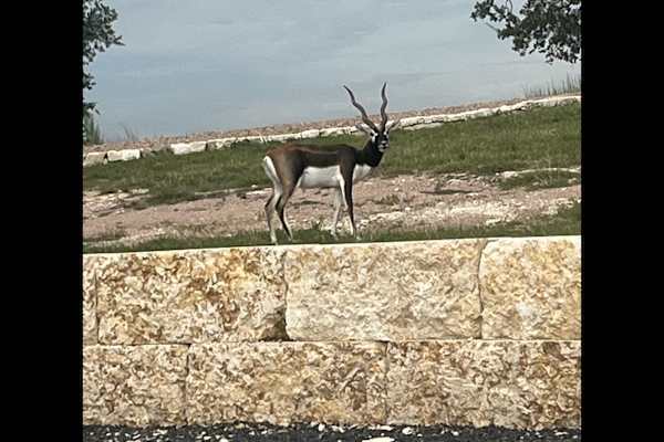 Marble Falls, Texas, United States