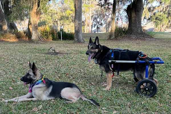 Sebring, Florida, United States