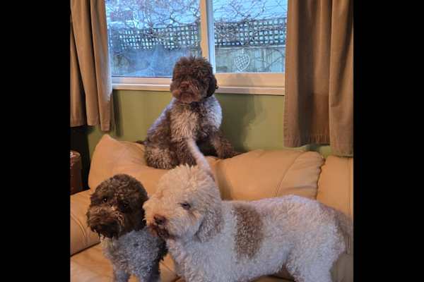 Tsawwassen, British Columbia, Canada