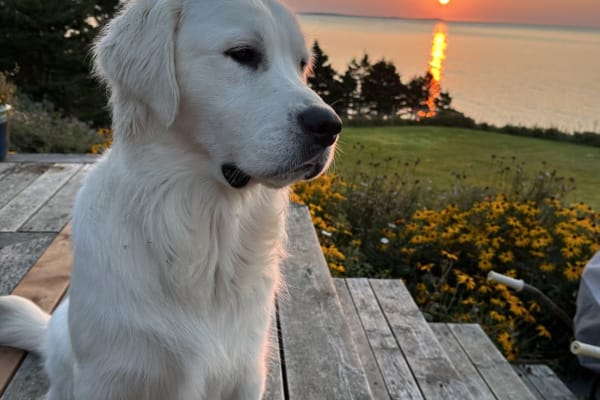 Dartmouth, Nova Scotia, Canada