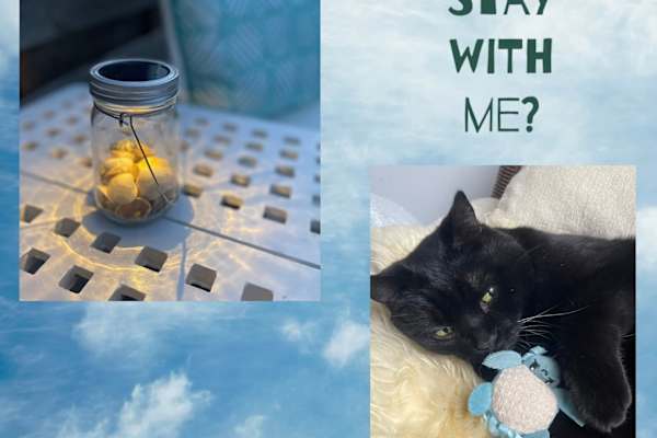 Ingelheim am Rhein, Rheinland-Pfalz, Germany