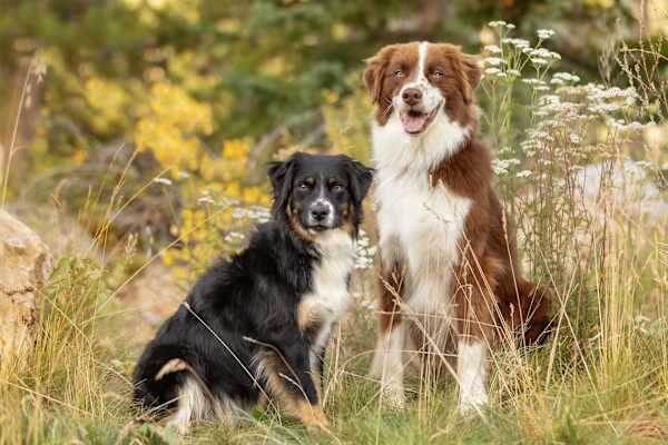 Keystone, Colorado, United States