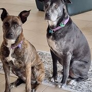 Dawesville, Western Australia, Australia