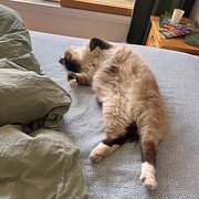 Woodend, Victoria, Australia