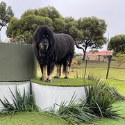 Shoalwater, Western Australia, Australia