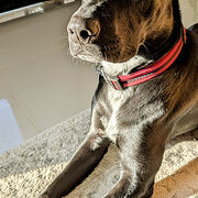 Clarkson, Western Australia, Australia