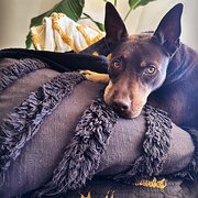 Kinross, Western Australia, Australia